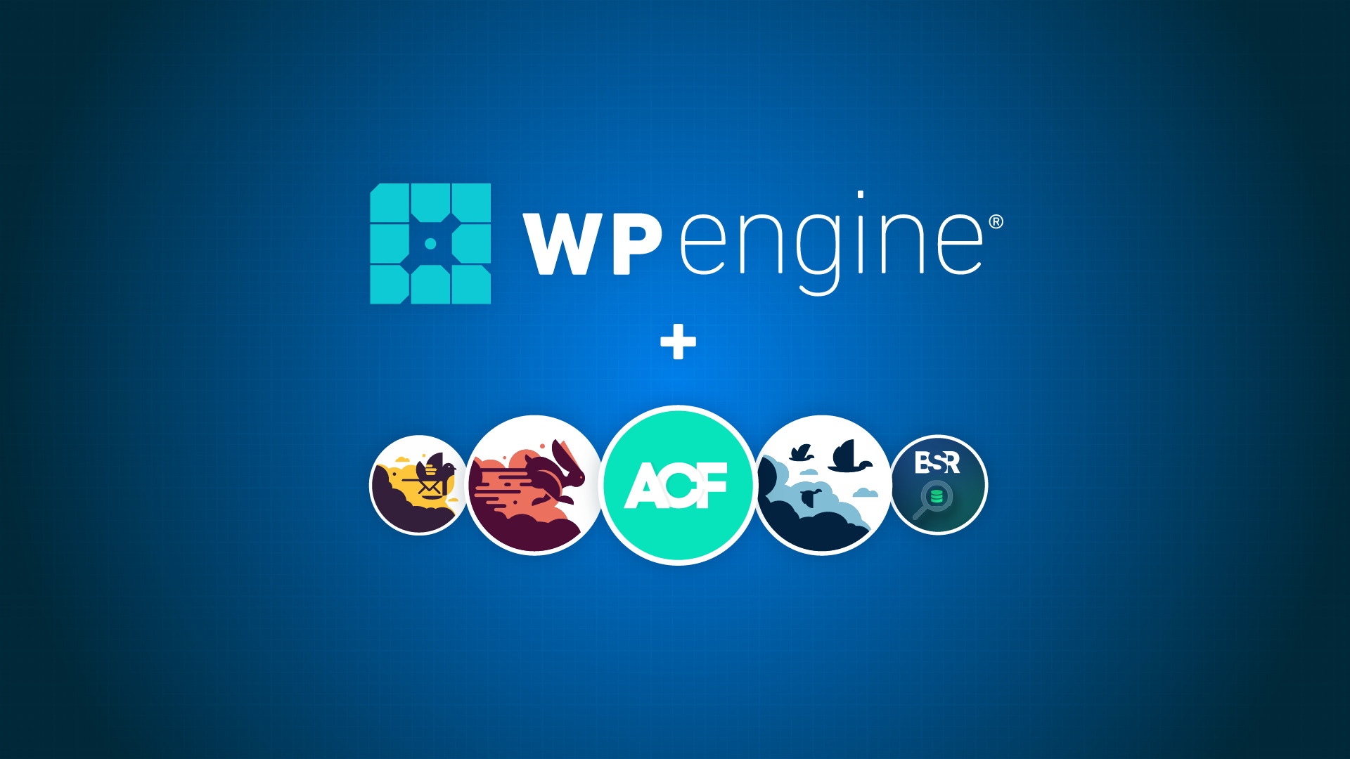 ¿Qué es WP Engine?